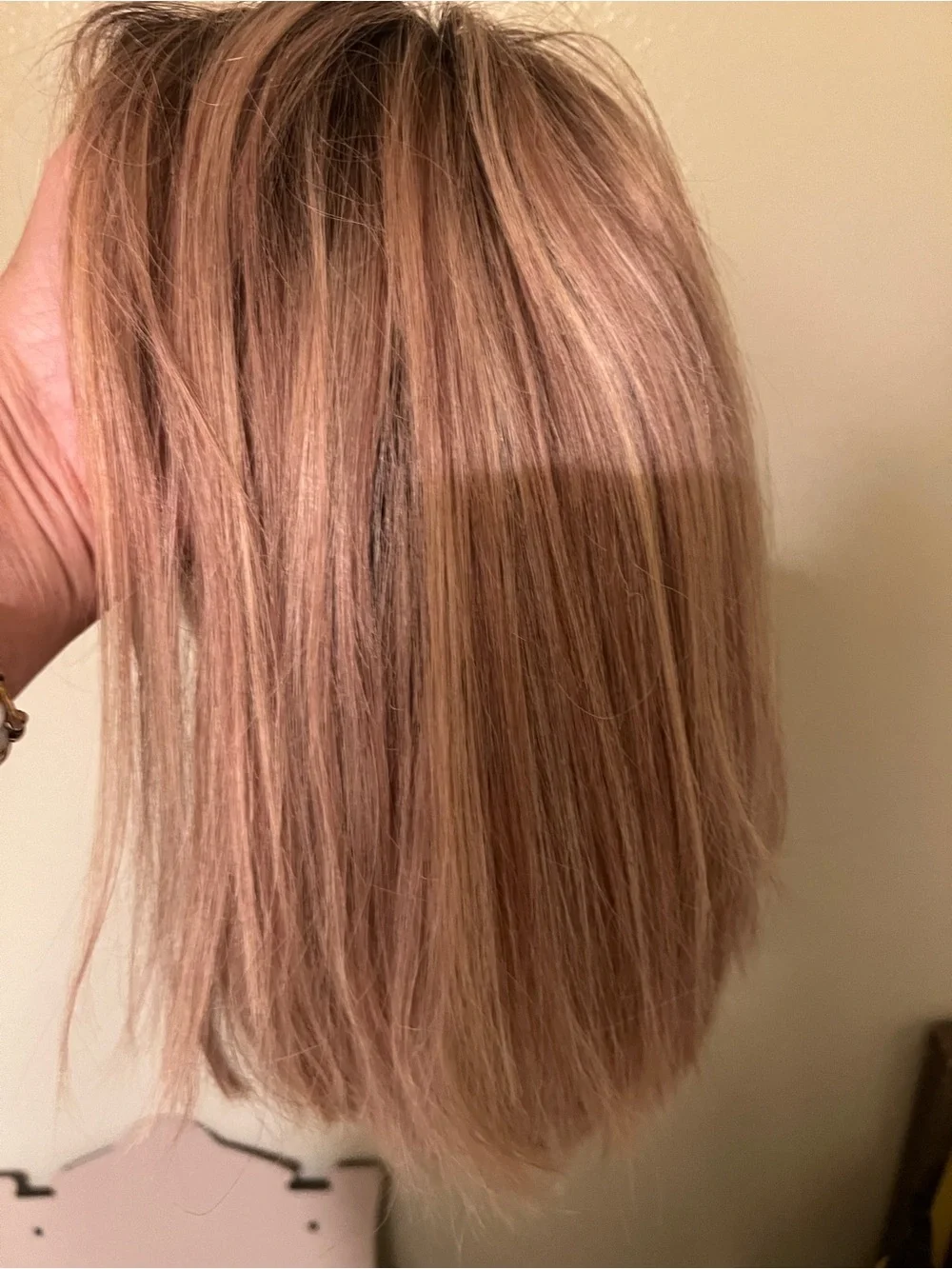 Human Hair Wig